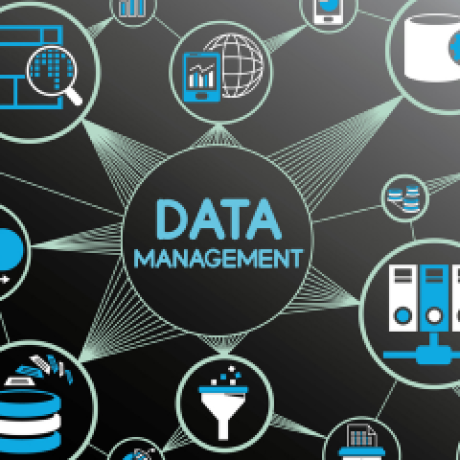 Why does your business need data conversion services?